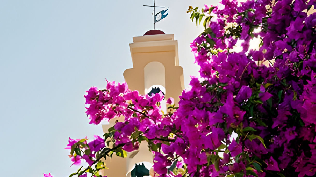 City Drive, Old Town & Wine Tasting