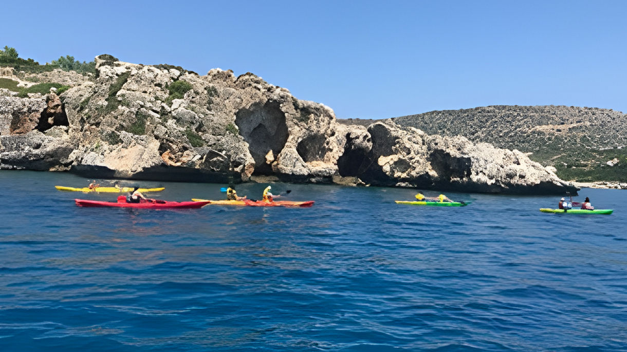 Sea Kayaking Adventure, Swim & Lunch for Families