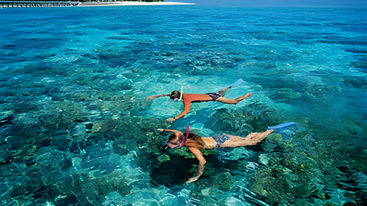 GREEN ISLAND ECO ADVENTURE