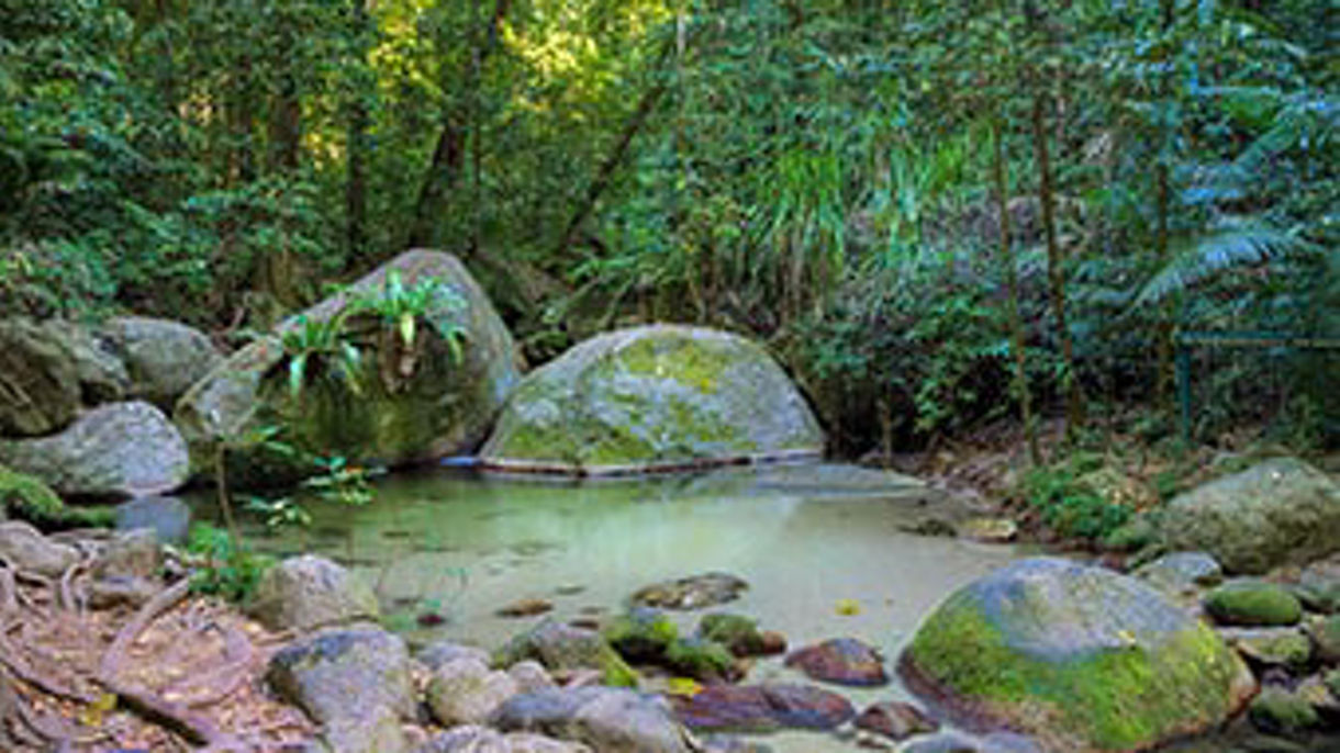Mossman Gorge Dreamtime and Lunch