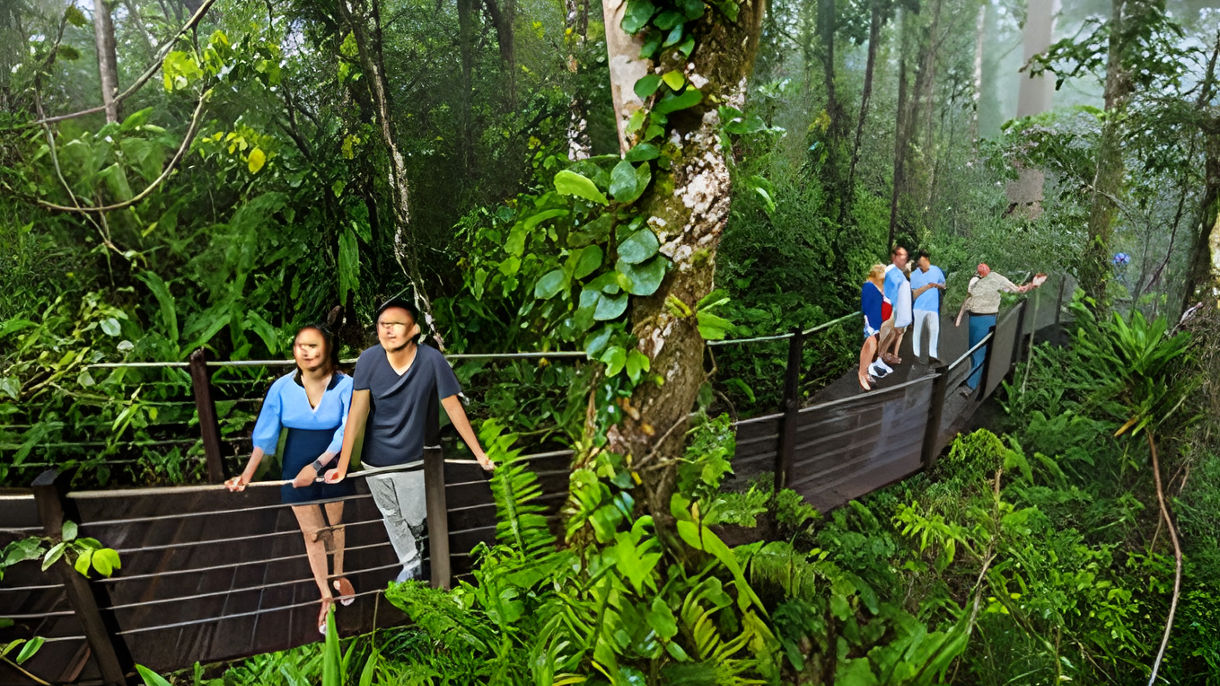 Kuranda & Skyrail Rainforest Cableway