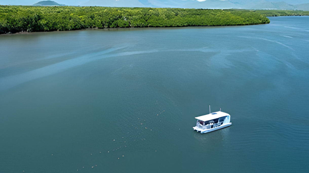 The Inlet Sightseeing Safari