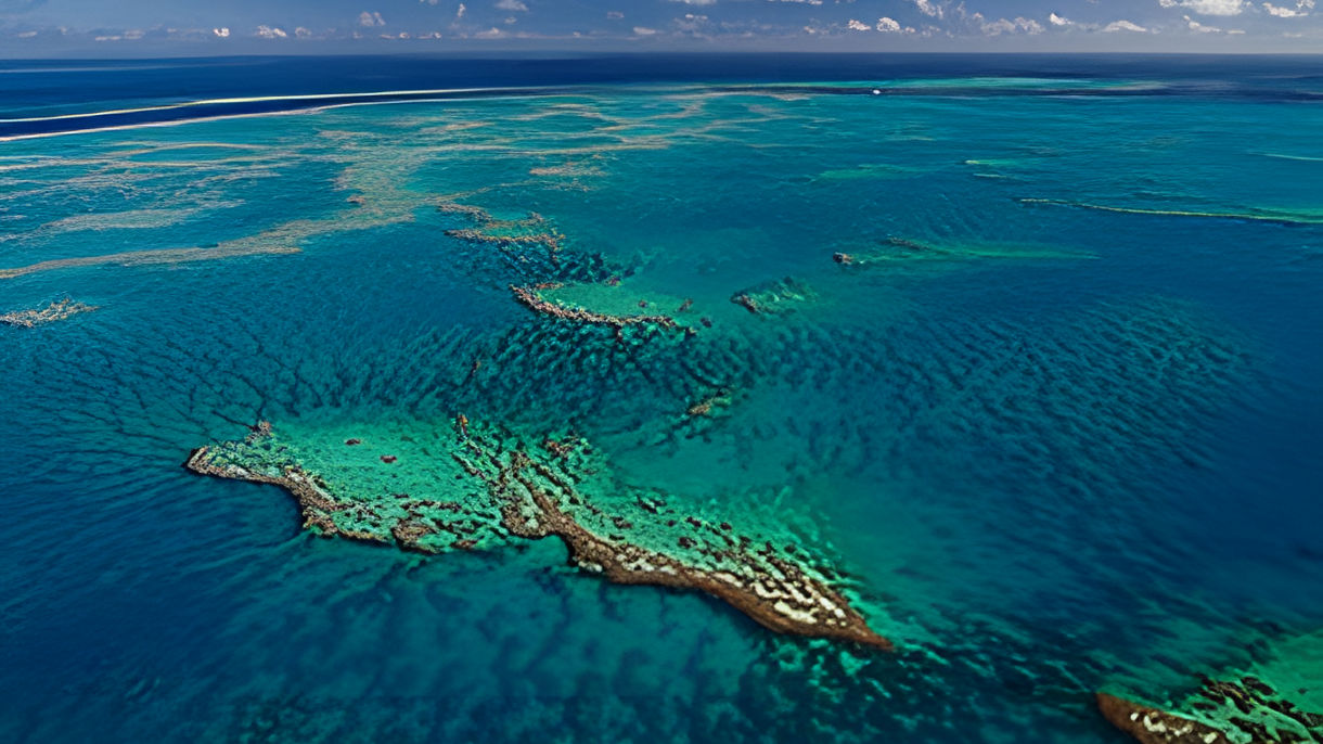 Cairns Reef Scenic Flight