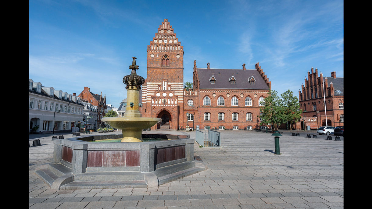 Kings & Vikings: The Viking Ship Museum & Roskilde Cathedral