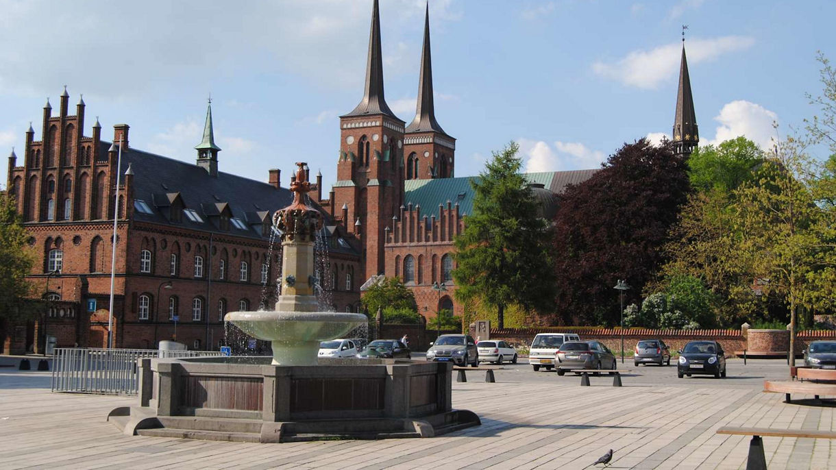 Kings & Vikings: The Viking Ship Museum & Roskilde Cathedral