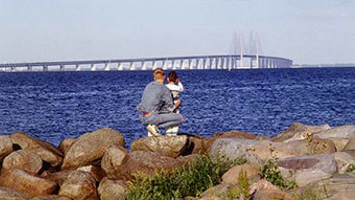 Dragoer Fishing Village & City Drive Debark Tour with Airport Transfer