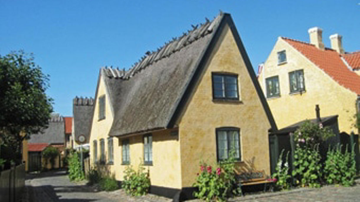 Dragoer Fishing Village & City Drive Debark Tour with Airport Transfer