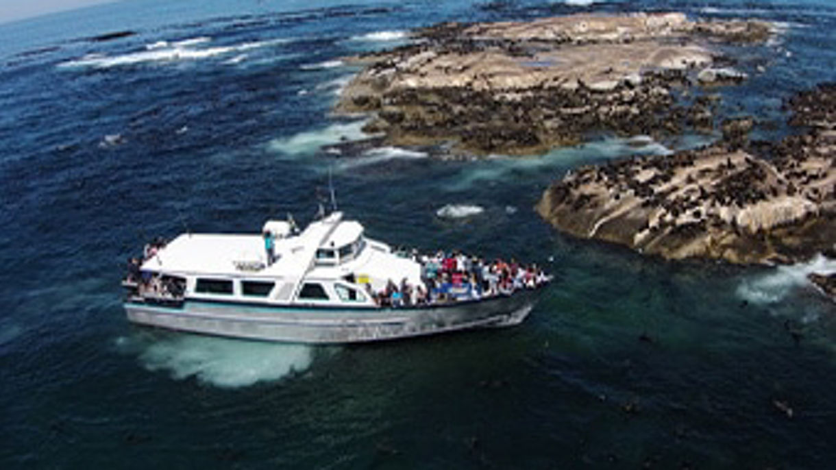 Seal Island & Groot Constantia