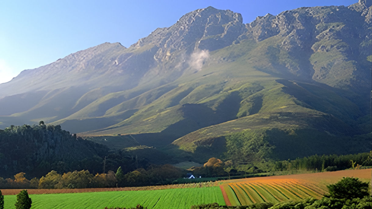 Stellenbosch & Wine Tasting