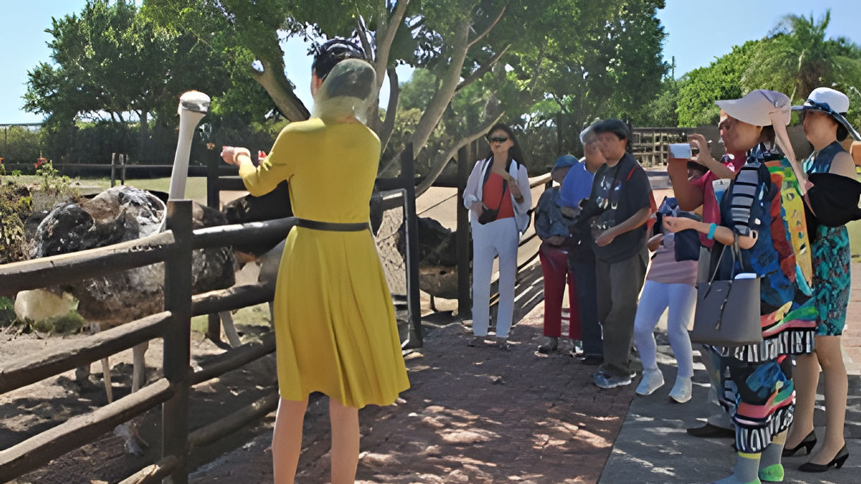 West Coast Ostrich Farm & Wine Tasting