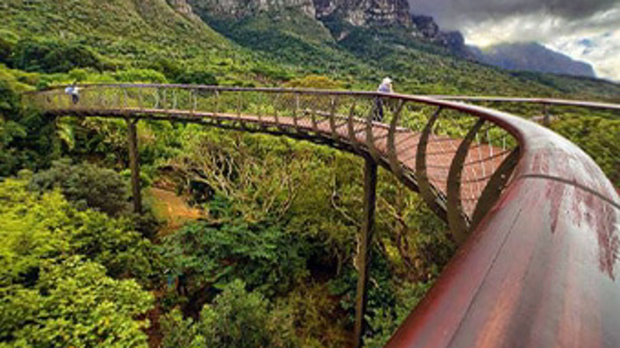 Kirstenbosch & Wine