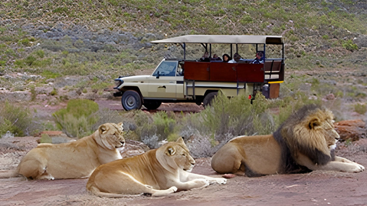 Amazing Aquila Game Reserve