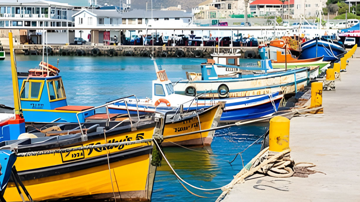 Boulders Beach & Kalk Bay