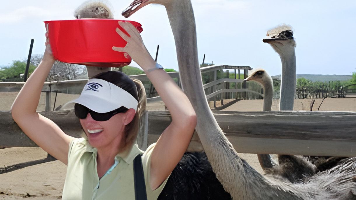 Local Connections: Ostrich Farm, Workshop & Scenic Drive with Local Artist