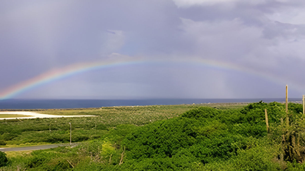 Scenic Drive, Distillery & Aloe Vera Farm