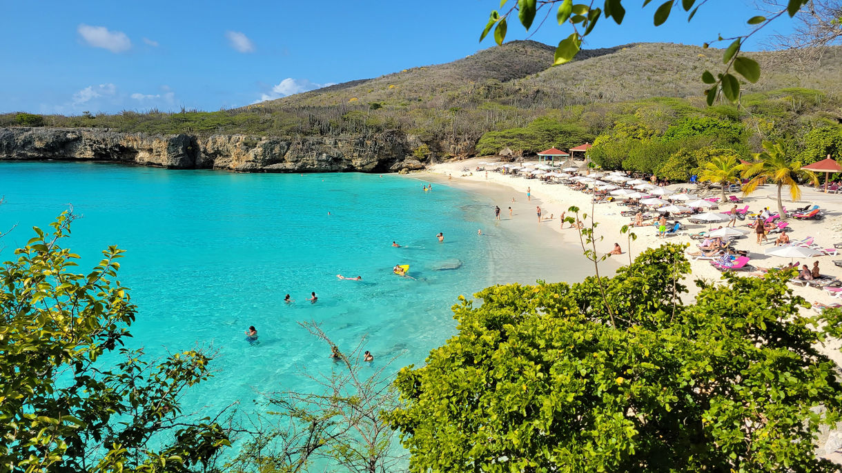 Knippa Beach Transfer
