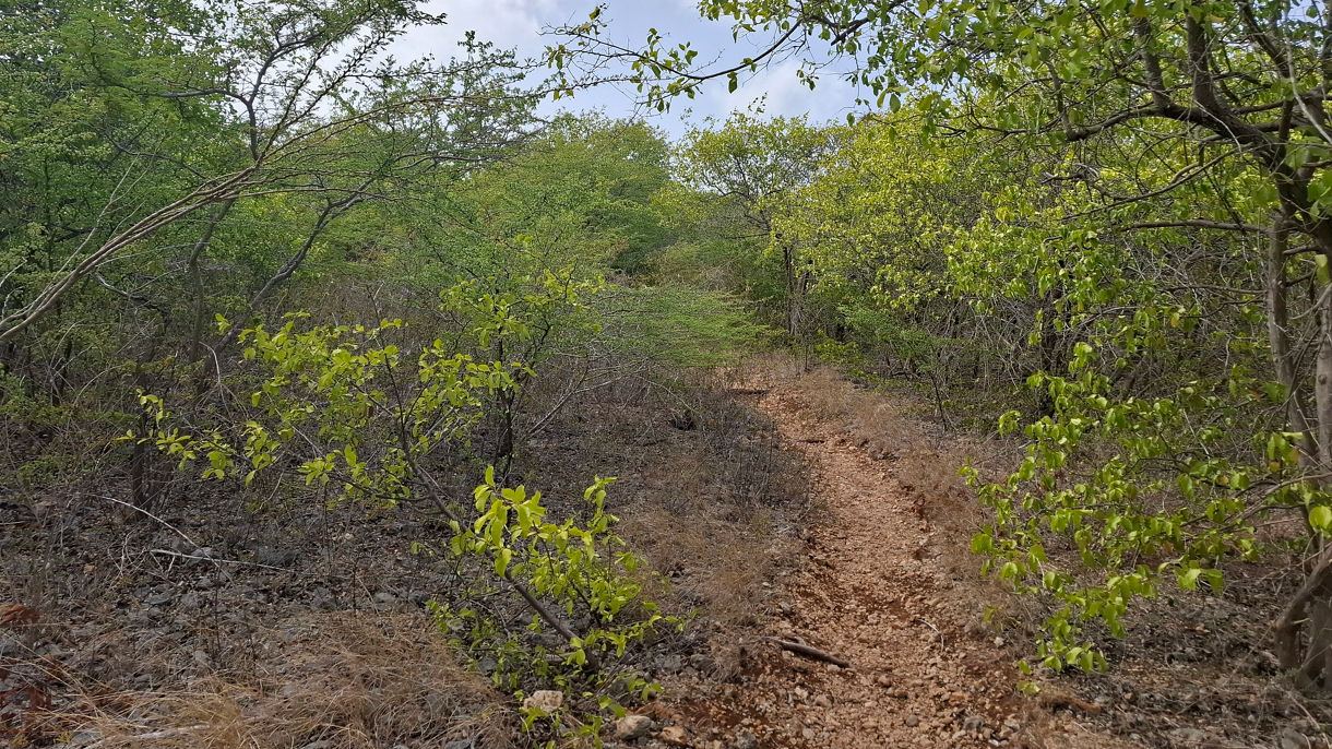 Coastal Walk & Views to Boka Sami
