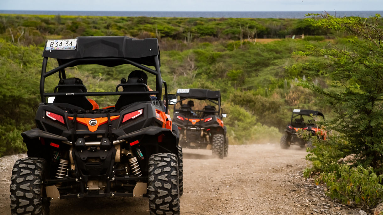 UTV Off-Roading & Beach Break
