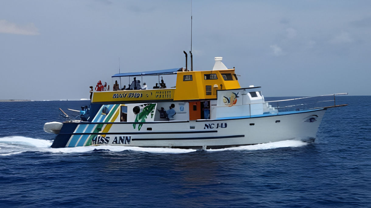Sunken Tugboat & Underwater Marine Park Snorkel
