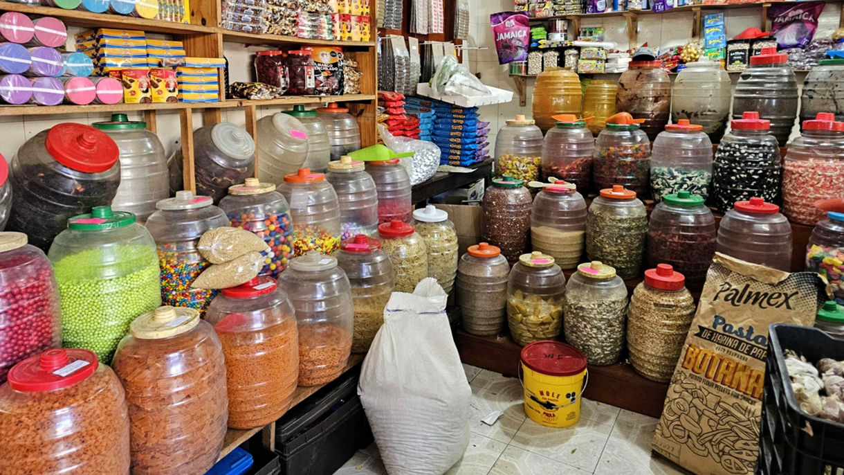 Local Connections: An Unforgettable City Tour with a Heartfelt Twist (A Small Group Tour)