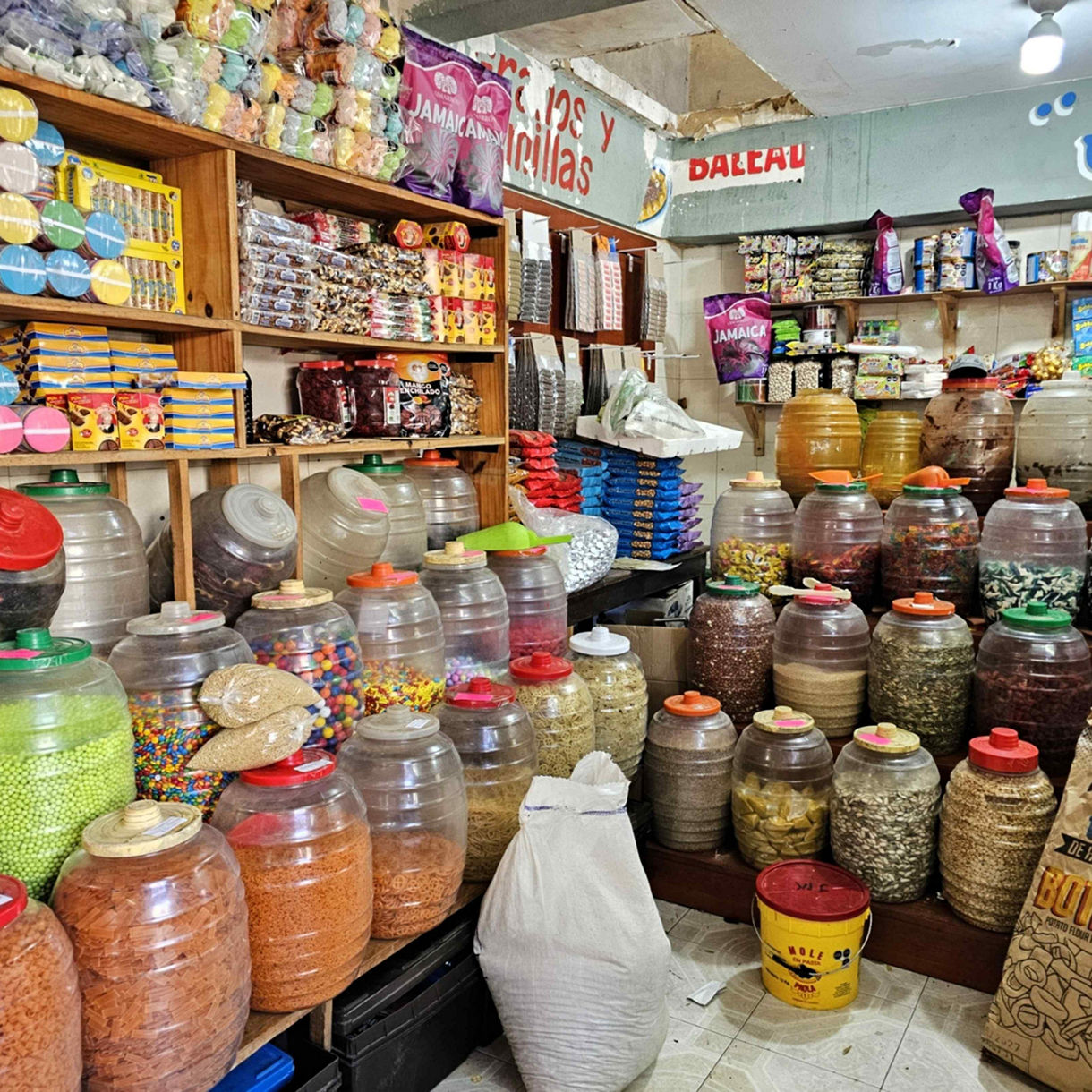 Local Connections: An Unforgettable City Tour with a Heartfelt Twist (A Small Group Tour)