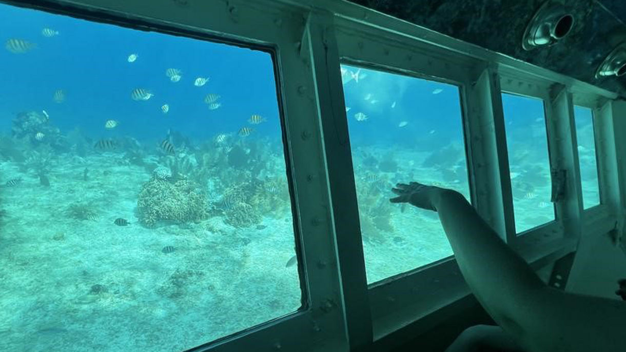 Taste of Mayan Culture & Glass Bottom Semi-Submersible