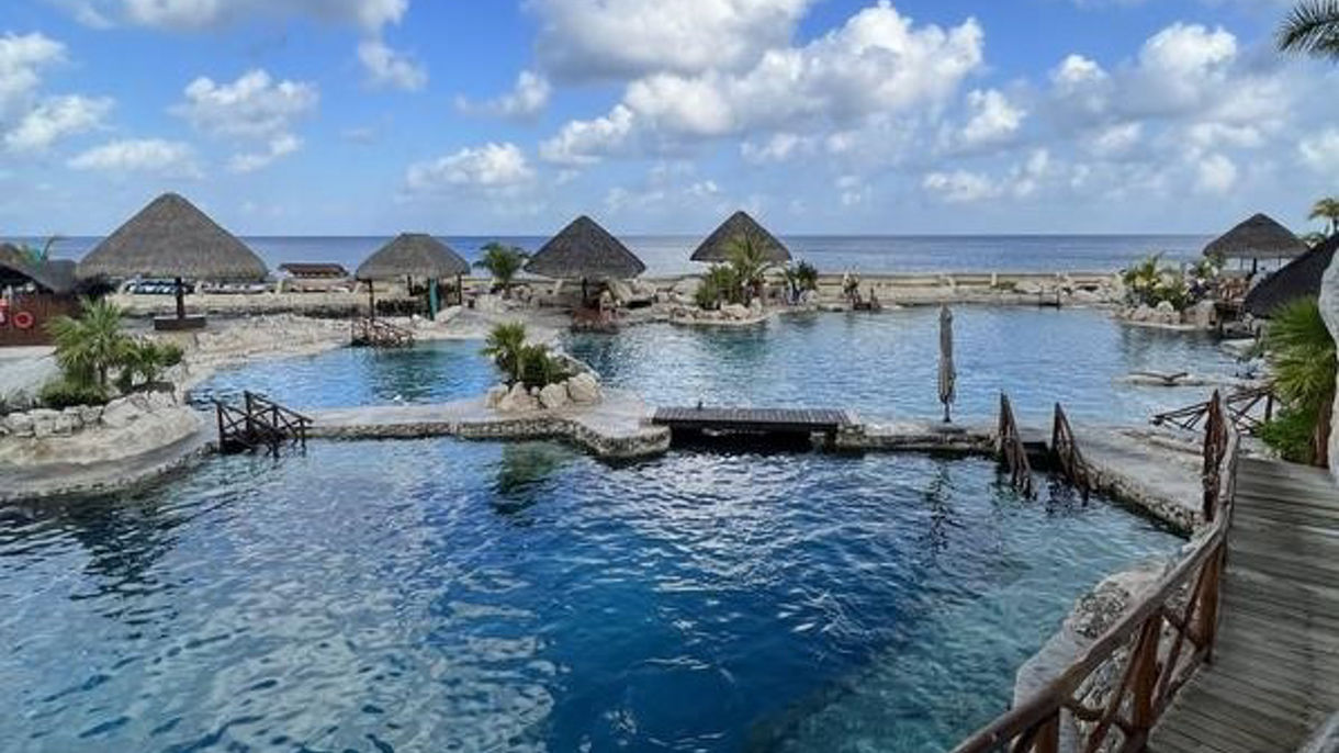 Dolphin Encounter All Inclusive