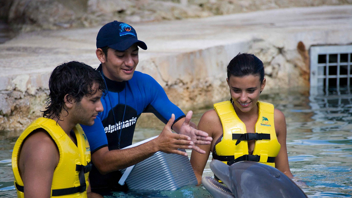 Dolphin Encounter All Inclusive