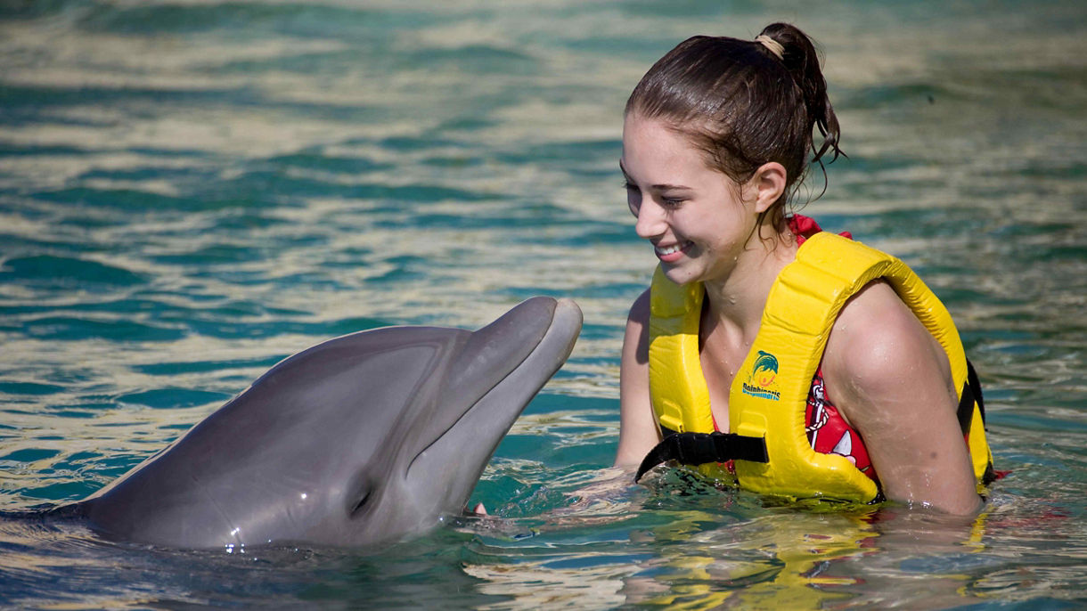 Dolphin Encounter All Inclusive