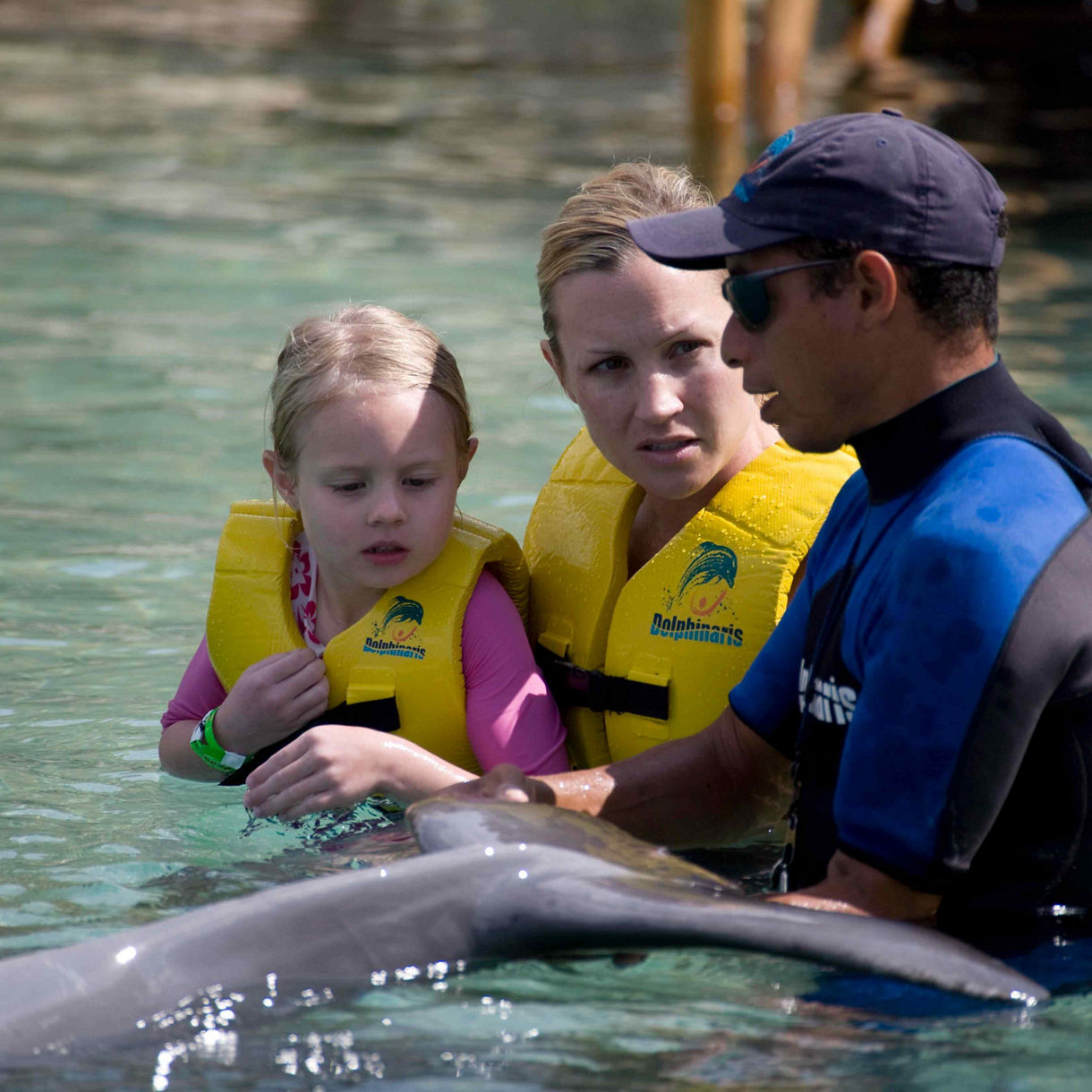 Dolphin Encounter All Inclusive