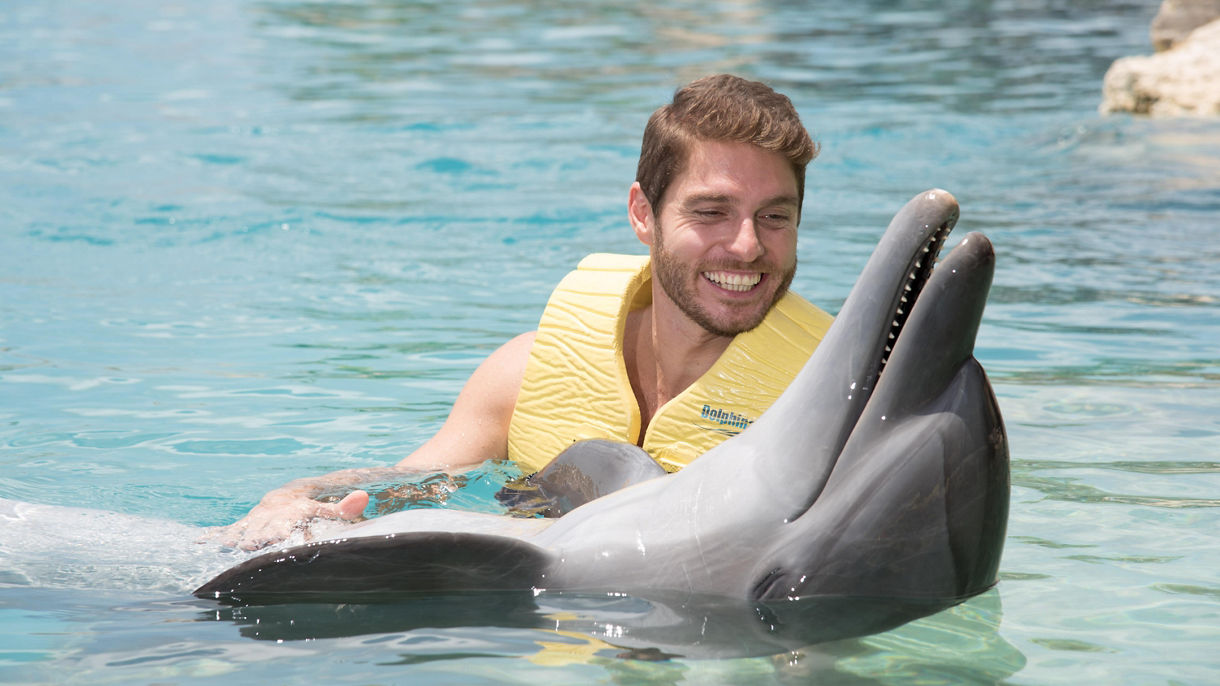 Dolphin Swim, Serenity Cove & Lunch