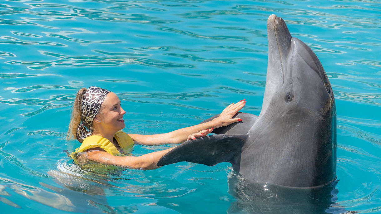 Dolphin Swim, Serenity Cove & Lunch