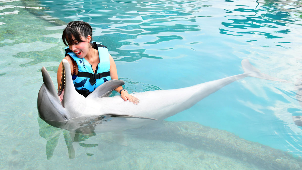 Dolphin Swim, Serenity Cove & Lunch