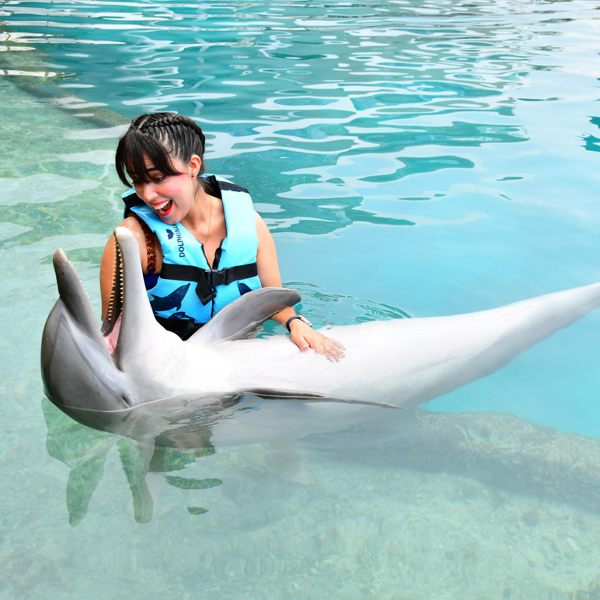 Dolphin Swim, Serenity Cove & Lunch