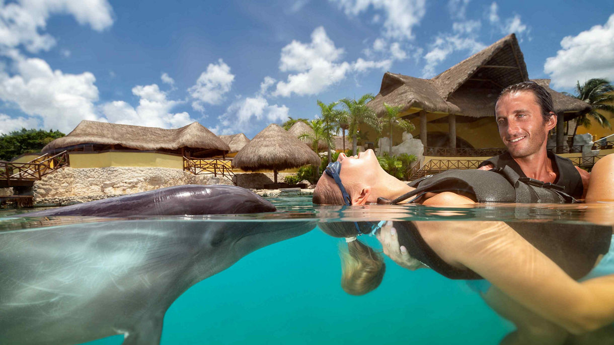 Dolphin True Connection Experience & Lunch