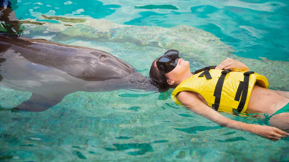 Dolphin True Connection Experience & Lunch