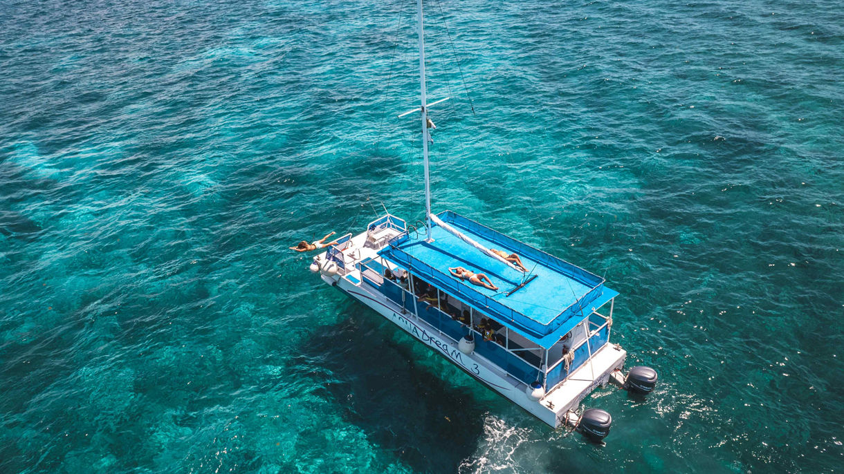 Aqua Trio: Reef Snorkel, Stingrays & Sharks with Lunch
