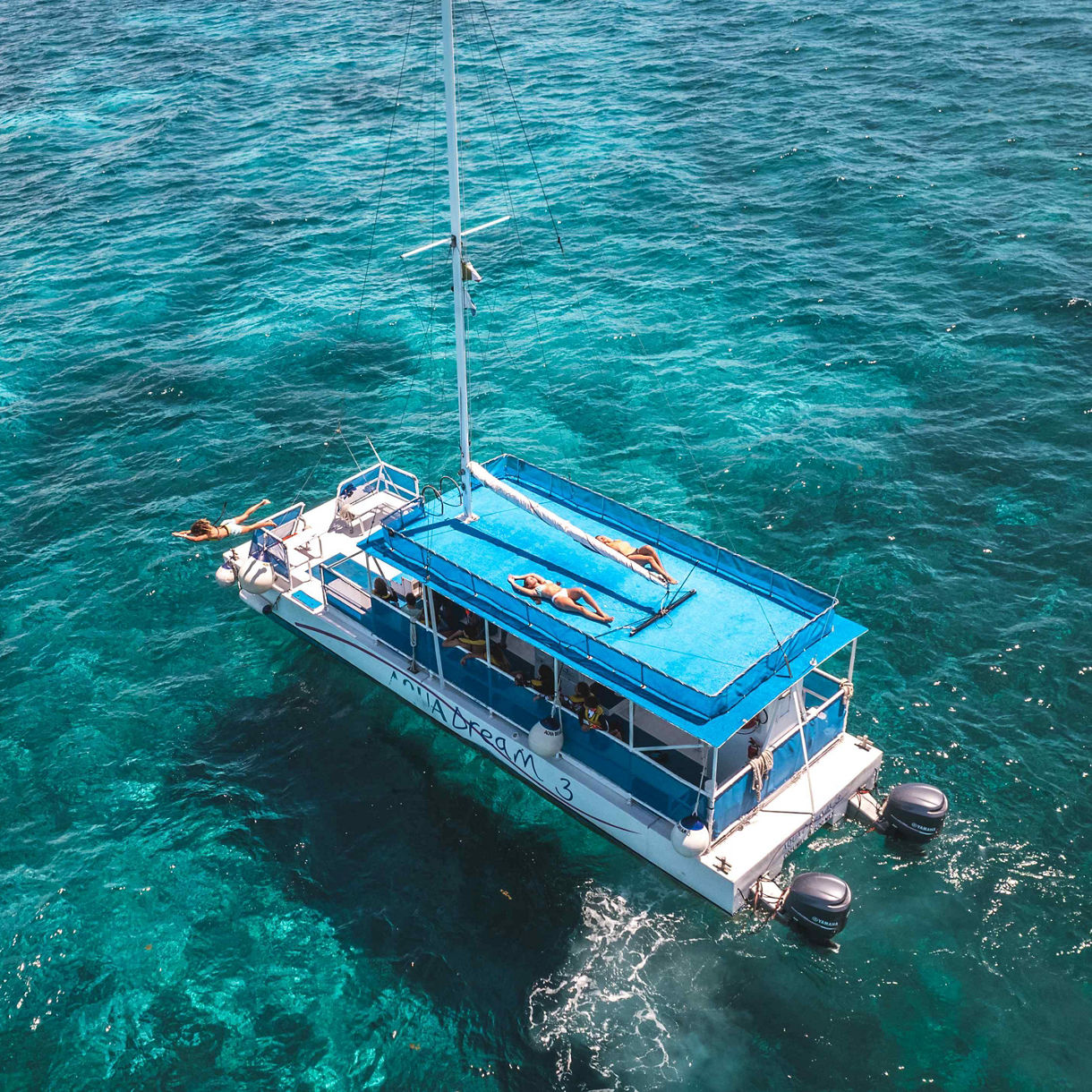 Aqua Trio: Reef Snorkel, Stingrays & Sharks with Lunch