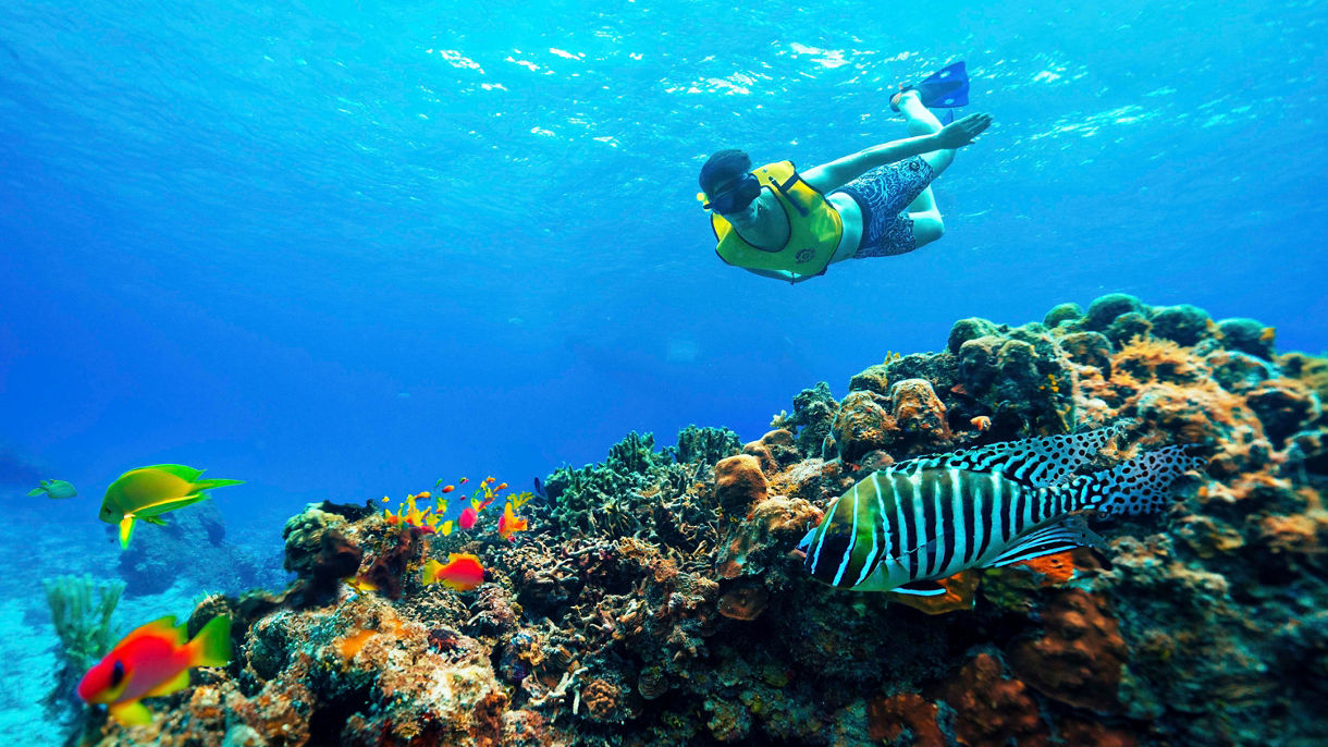 Catamaran Sail, Snorkel & Beach