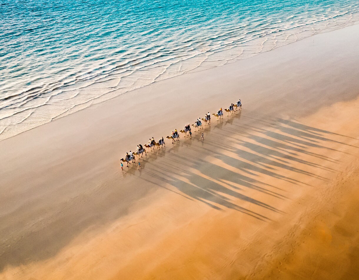 A line of camels and riders walking along a wide sandy beach with long shadows stretching toward the shore.