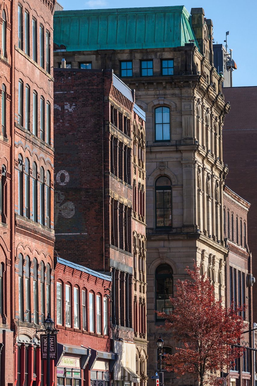 Row of historic brick and stone buildings in Saint John, New Brunswick, featuring arched windows, detailed façades and a green copper roof with a red tree in front.