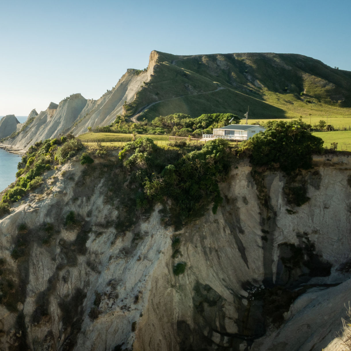 Sheer pale cliffs dropping to the ocean with sculpted rock formations and gentle green hills above, under a clear sky.
