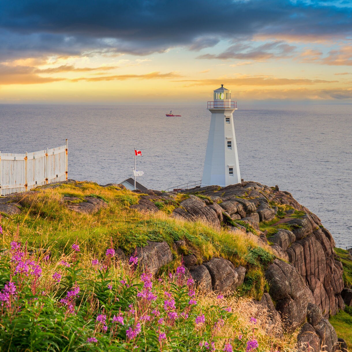 A white lighthouse on the rocky cliffs of Cape Spear in Newfoundland, overlooking the ocean at sunrise with wildflowers, a white fence and a small Canadian flag in the foreground.