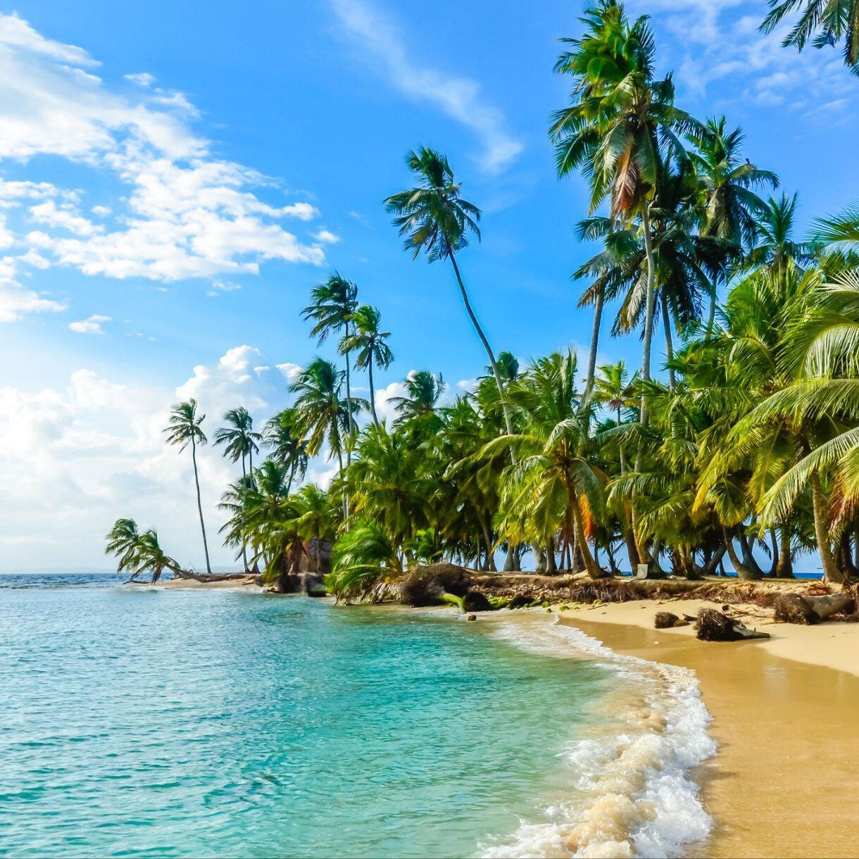 Beautiful lonely beach in Caribbean San Blas island, Panama. Turquoise tropical Sea, paradise travel destination, Central America