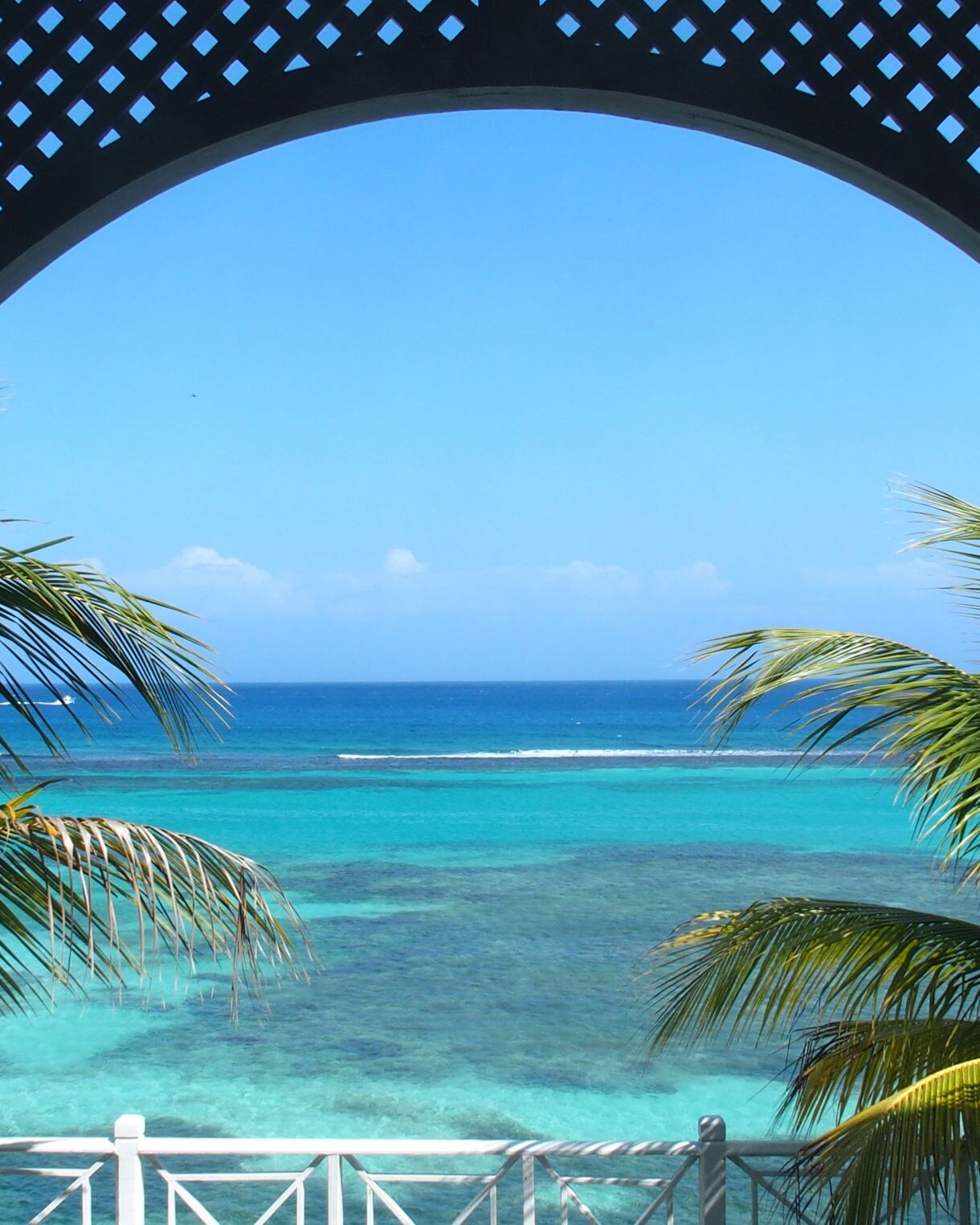 Last minute cruise deals