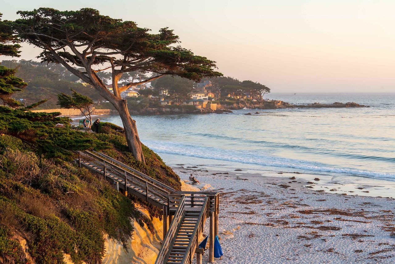 A scenic view of Carmel Beach at sunset, featuring a wooden boardwalk leading down to the sandy shore, a windswept cypress tree, rolling waves, and coastal homes in the background.