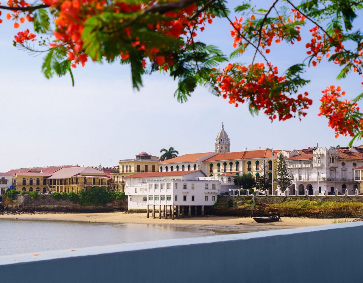 Colonial buildings with red-tiled roofs in Casco Viejo, Panama City, framed by bright red flowers and overlooking the waterfront.