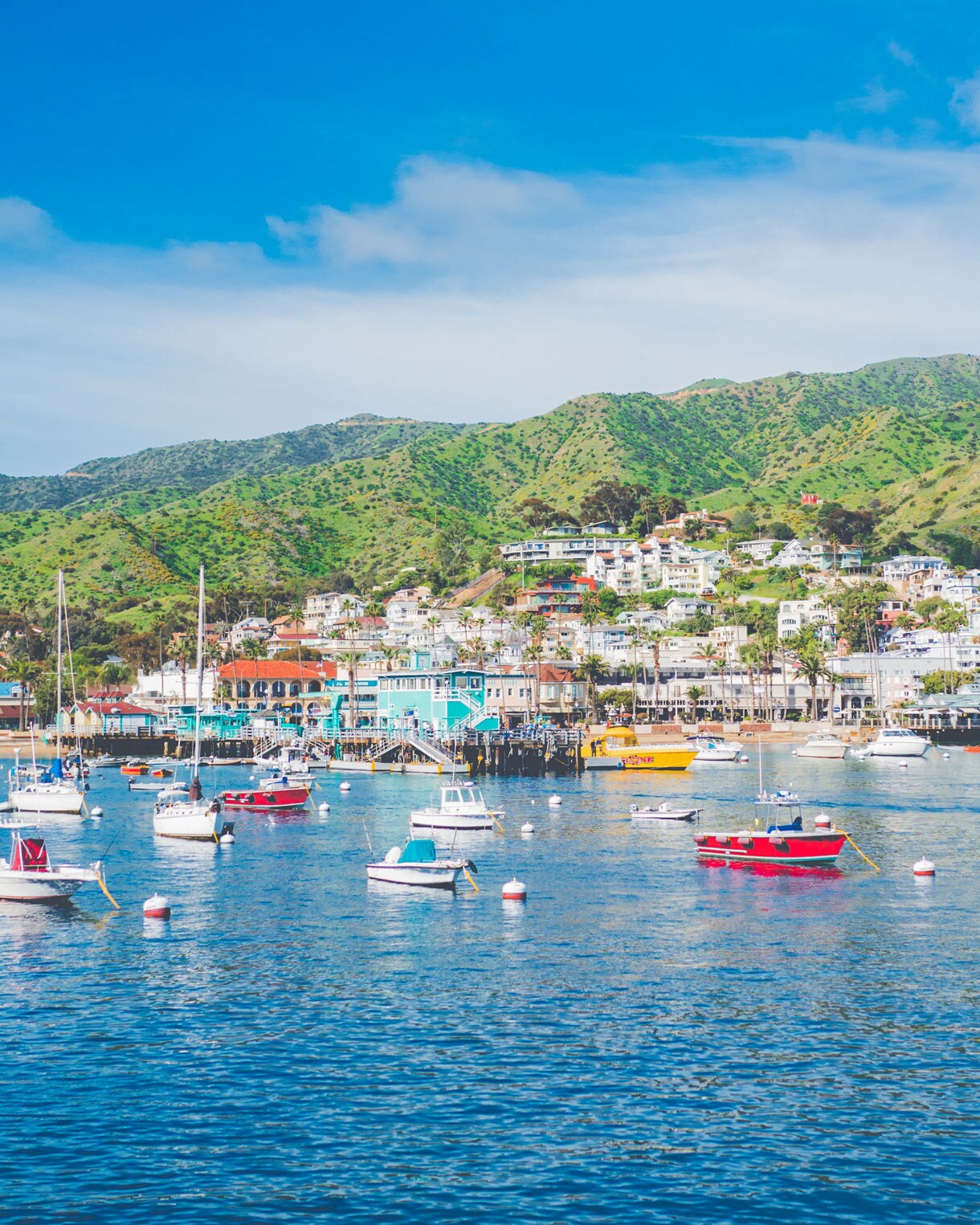 View of Avalon Bay on Catalina Island with small boats anchored in blue water, colorful buildings along the shore and lush green hills in the background.