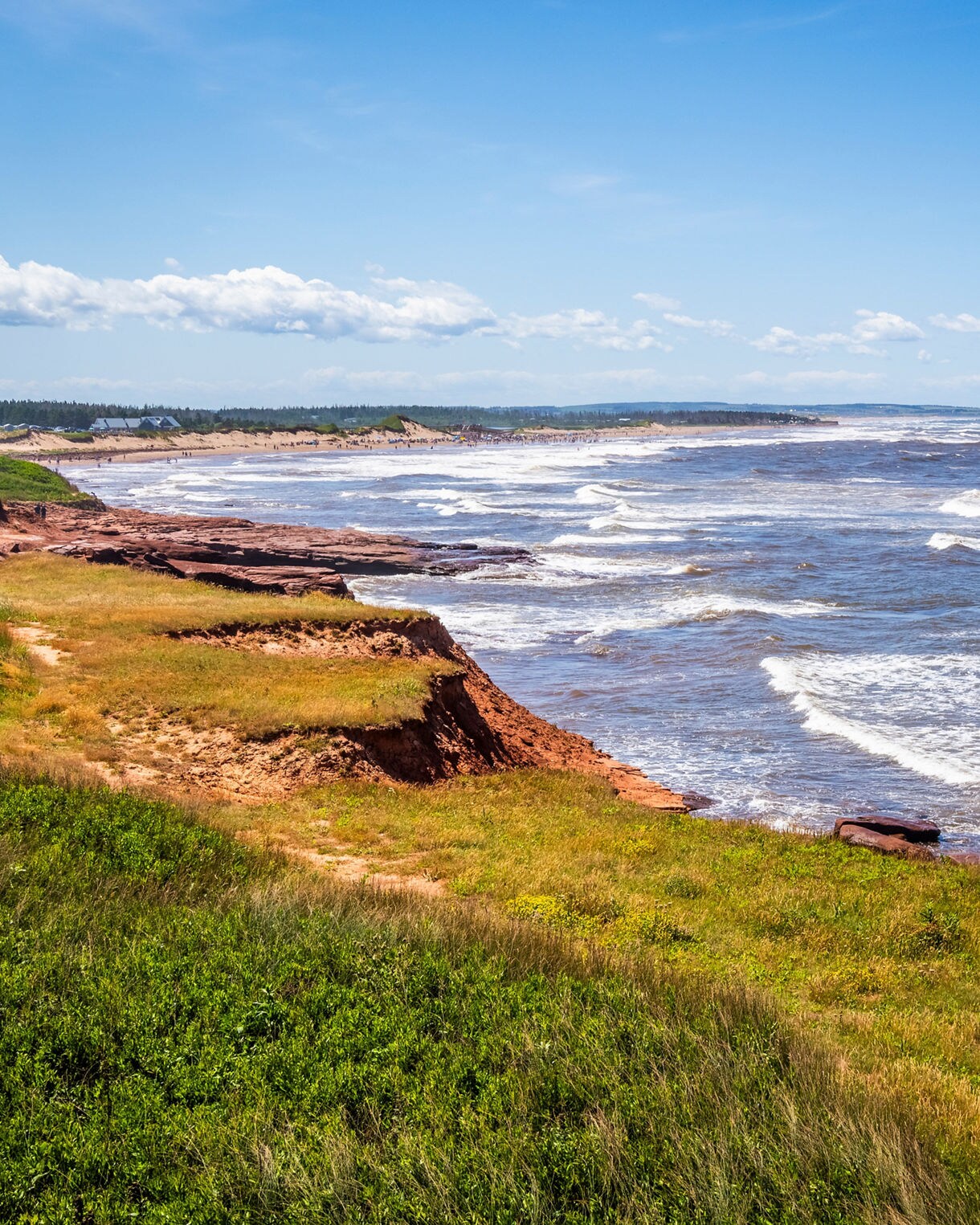 Rugged red cliffs line the coast of Prince Edward Island National Park, with grassy dunes, rolling waves and a wide blue sky stretching along the north shore.