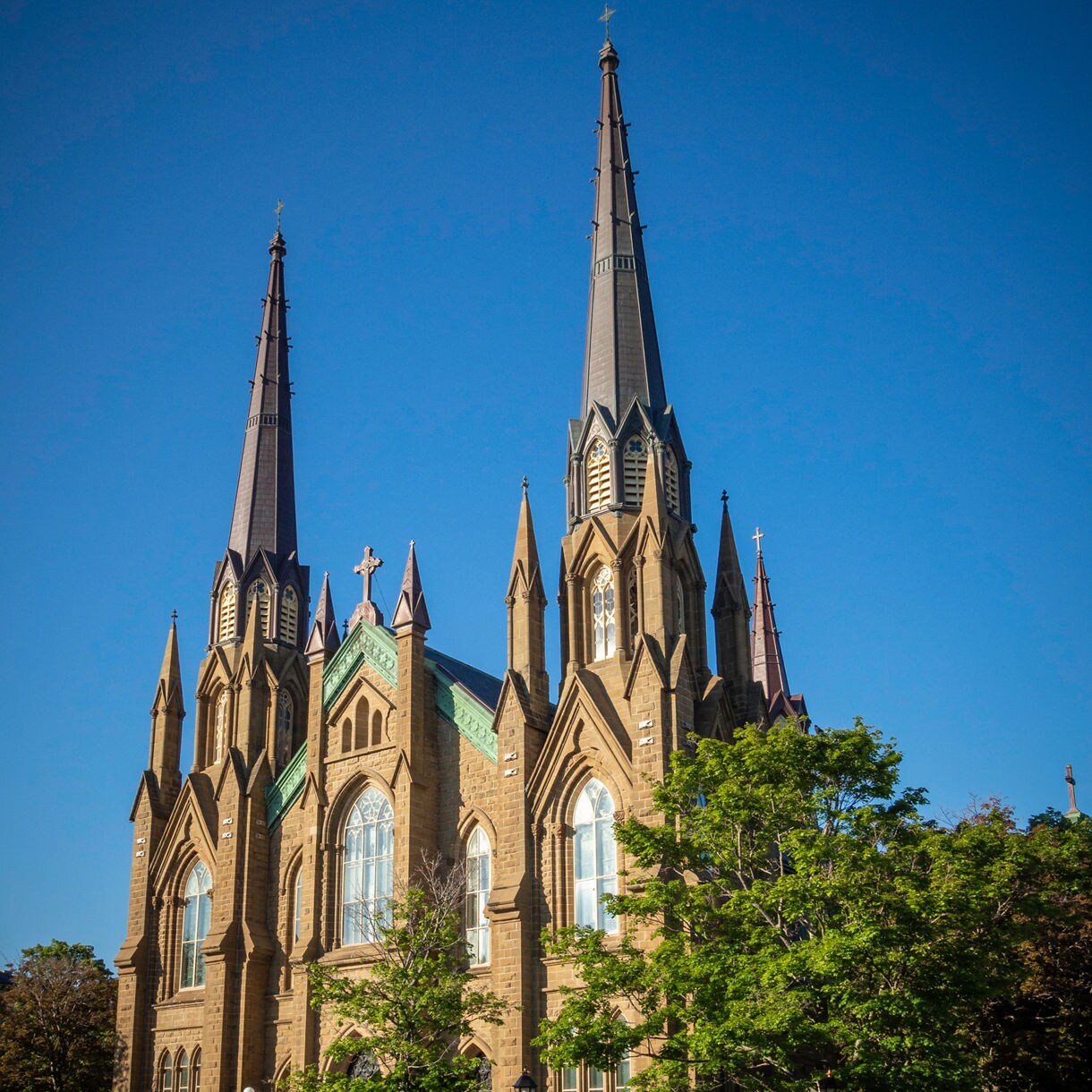 A large Gothic-style cathedral with tall pointed spires, arched windows and detailed stone architecture, surrounded by green trees under a clear blue sky.